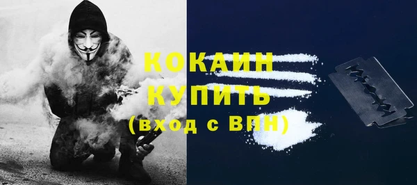 мет Протвино