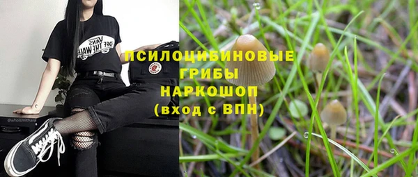 ECSTASY Пролетарск
