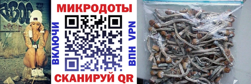 Галлюциногенные грибы GOLDEN TEACHER  цена наркотик  Армянск 